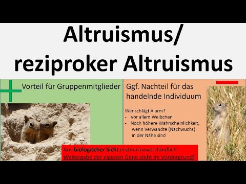 Altruismus/ altruistisches Verhalten/ reziproker Altruismus [Biologie, Oberstufe]