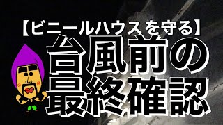 【ビニールハウスを守る】台風前の最終確認