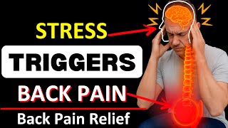 How Stress Is Secretly Triggering Your Back Pain (And 3 Ways To Stop It)