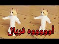  اغنية باسم فريال فيفي فوفو سطلانة السعودية الكويت الامارات قطر مسقط لبحرين العراق دبي الجزائر تركيا