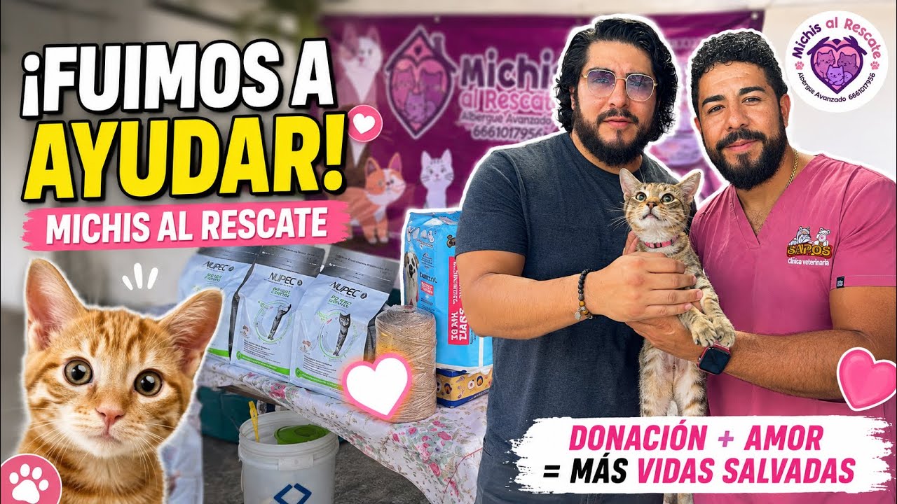 Latest Title & Thumbnail