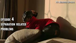 Pet Behaviour Odysseys Episode 4: Separation Related Problems