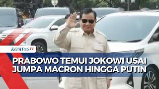 Prabowo Temui Jokowi di Istana, Lapor Hasil Pertemuan dengan Macron Hingga Putin