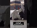 اسأل الله ان يبلغنا رمضان 