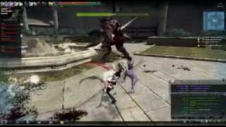 Recording Test - Vindictus Ingkells Raid