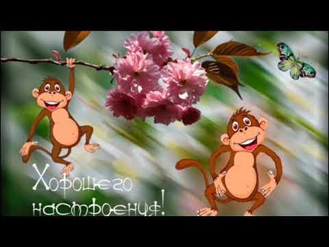 А жизнь продолжается - YouTube