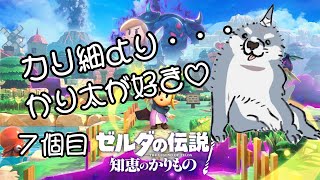 【ゼルダの伝説 知恵のかりもの】 おまえのものはワイのものや！！７個目 【初見プレイ】