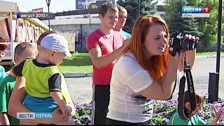 В Пермском цирке настоящая «Карусель животных» В Пермском цирке настоящая «Карусель животных»