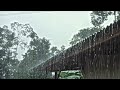 Rain Sounds for Sleeping 🌧️ Heavy Rain on Roof – You’ll Feel Sleepy in Minutes (No Thunder)