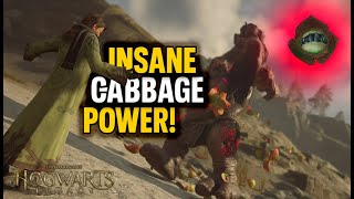 Hogwarts Legacy: The "God-Tier" Cabbage Build (Secret Weapon Guide) Information