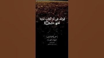 سورة الزخرف الآية ١ الى ٨ بصوت الشيخ محمد صديق المنشاوي