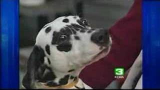 Bob Barker Promotes Mandatory Spaying, Neutering Of Pets
