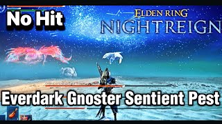Everdark Sovereign Gnoster Sentient Pest No Damage Solo - Elden Ring Nightreign