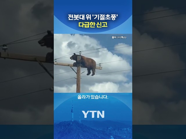 "어떻게 올라간거지?" #shorts / YTN