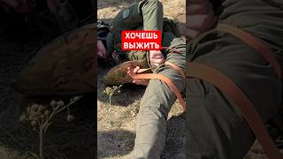 ОСТАНОВИ КРОВОТЕЧЕНИЕ #training #tacmed #stopthebleed
