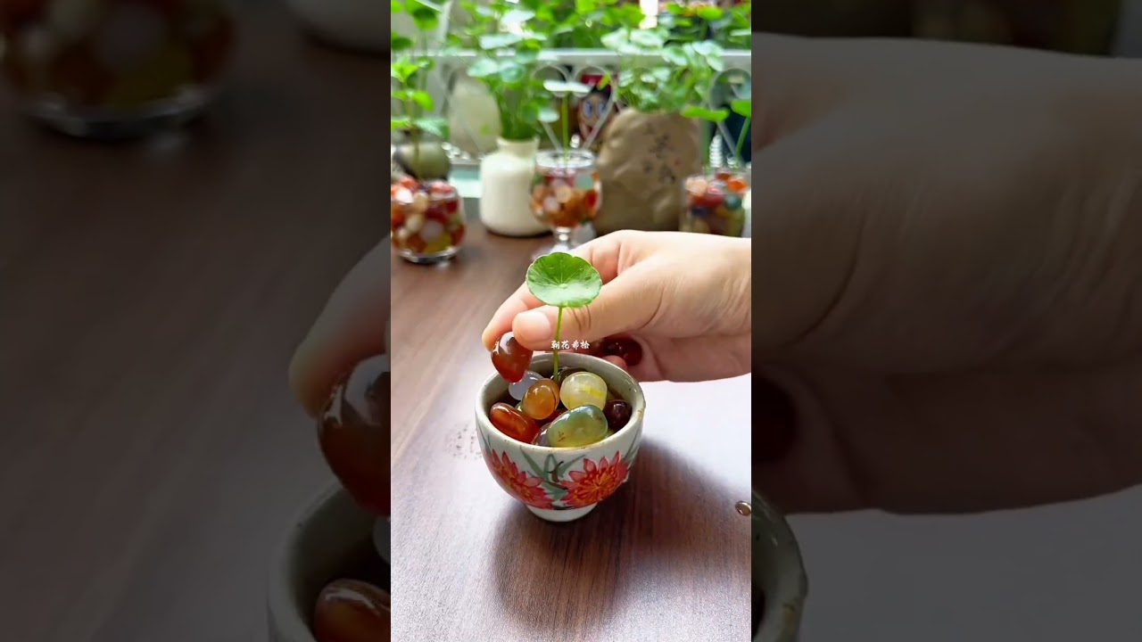 How to growing flowers in cup color very beautiful #diy #gardenflowers #plants #flowers