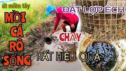 Đặt Lợp Ếch Mồi Cá Rô Sống/ Chạy Rất Hiệu Quả#UtMienTay#datlopech#bayechdong#