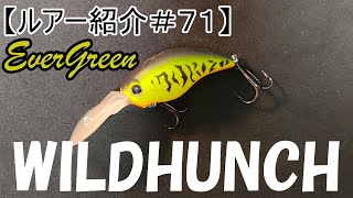 【ルアー紹介#71】エバーグリーン ワイルドハンチ 【introduce the lure#71】evergreen wildhunch english subtitle