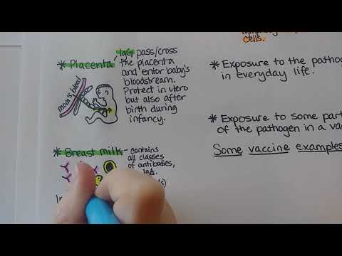 Passive and Active Immunity