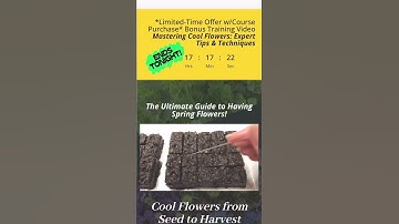 Comment COOL and I’ll DM the link to go straight to this special offer that ends 7/31 At 12midnight