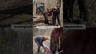 Trailer Bosbeheer Met Trekpaarden - Ward Vervaeke, Kalou