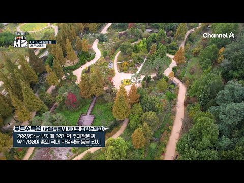 서울 광장에 8배?! 서울시 최초 공립수목원 &amp;#39;푸른수목원&amp;#39;♥ | 채널A 특별기획 ZOOM IN 서울 8 회