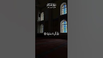 القارئ #ادريس_ابكر #سورة_الحاقة
