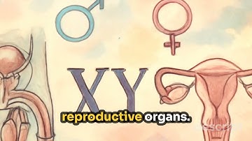 Gender, Identity, and Intersectionality in Community