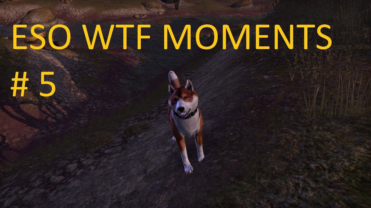 ESO WTF Moments #5