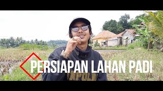 Download Lagu PERSIAPAN LAHAN PADI SETELAH PANEN!!! MP3