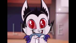 Hello Kittybunnicula Cat Version