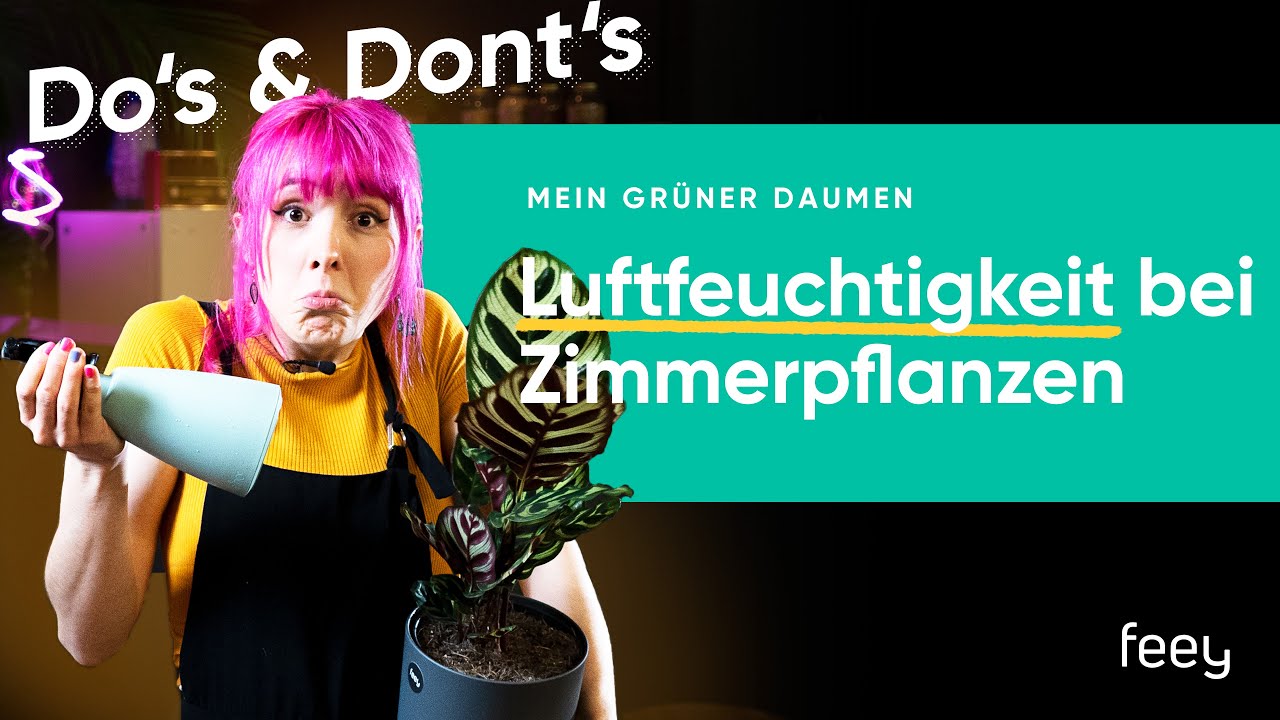welches wasser für zimmerpflanzen Wasserzähler für Pflanzen Groß – Dünger und Pflanzenpflege für Ihren Garten main image 0
