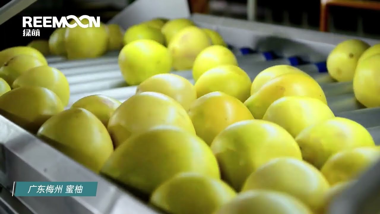 fruit sorting machine, fruit sorting equipment, fruit and vegetable sorting machine, China factory
