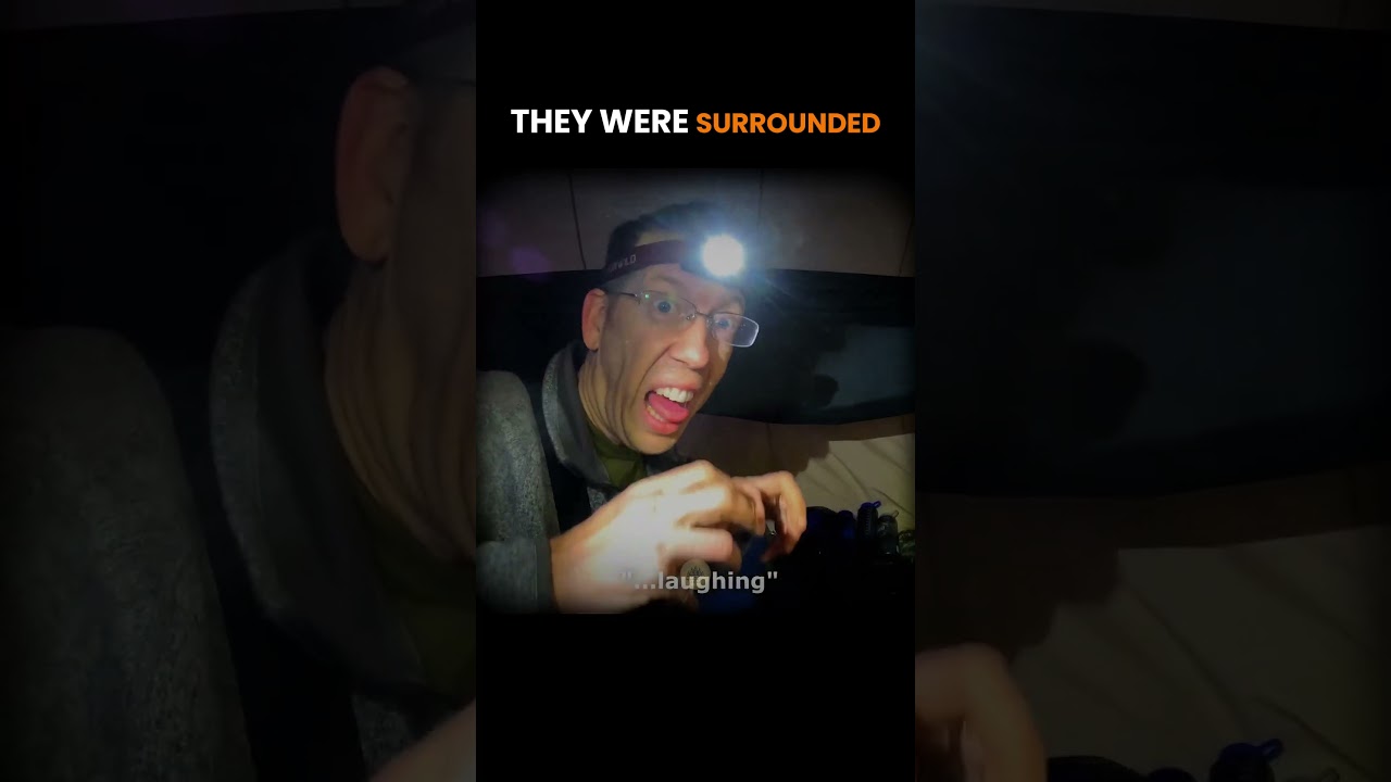 They were surrounded by wolves!