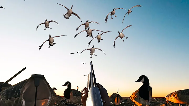 LATE SEASON GOOSE HUNTING TIP! 15 MAN LIMIT