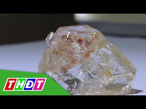 Video Tìm thấy viên kim cương lớn thứ 29 trên thế giới | THDT - youtube