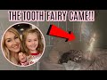 SHE LOST HER FIRST TOOTH + THE TOOTH FAIRY CAME! DAY IN THE LIFE VLOG | Tara Henderson