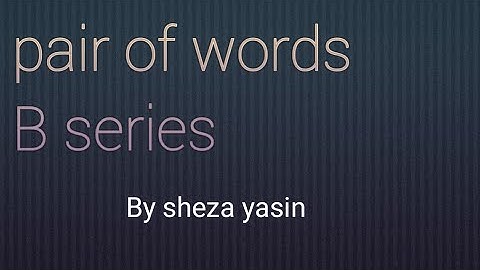 pair of words|| B series || CSS PMS || lecture series