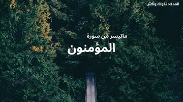 ماتيسر من سورة المؤمنون مِن صلاة العِشاء مع عبدالرحمن محمود