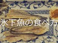 OJこまい　最高のおつまみ紹介（氷下魚）