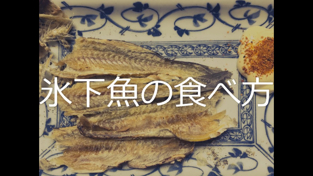 Ojこまい 最高のおつまみ紹介 氷下魚 Youtube