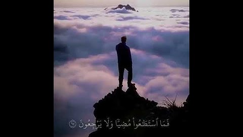 حالات واتس اب قران اليوم نختم على أفواههم وتكلمنا أيديهم بصوت القارئ يوسف صقر🍃حالات واتس اب دينية