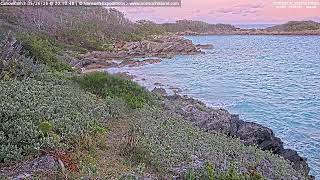CahowCam3 LiveStream - Nonsuch Expeditions | nonsuchisland.com