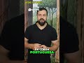 Ouro e Café: A História Econômica do Brasil Revelada!