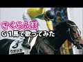 大塚愛「さくらんぼ」をG1馬で歌ってみた