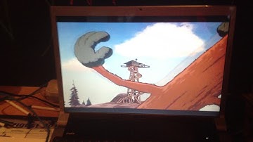 Old Sequoia Falls down