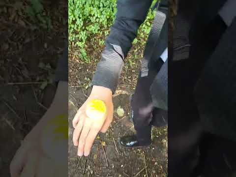 LET S GO GAMBLING Forsaken Cosplay Chance Cosplay Forsaken Forsakencosplay Chance