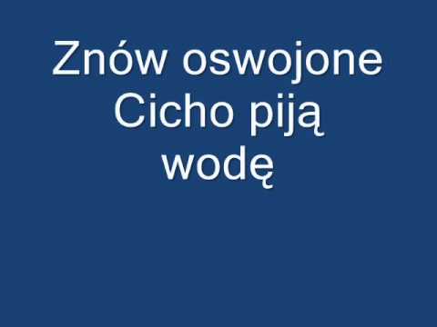 Wideo: Różnica Między Kątem Ostrym A Rozwartym