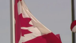 Local 4 News at 5 -- July 19, 2021