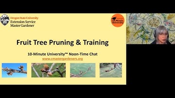 Fruit Tree Pruning & Training with OSU Master Gardeners - Jan. 26, 2022